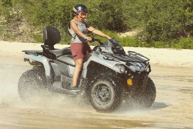 Ride through Bajas wild beauty—from desert trails to ocean views. - How the guide customizes your route, and why that matters