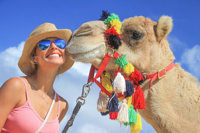 Safari with Camel Caravan to Explore Baja’s Nature, Culture and Cuisine - Cabo Pass Safari in 3 Hours: What You’re Really Buying