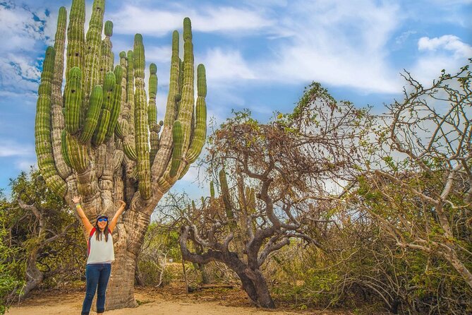 Safari with Camel Caravan to Explore Baja’s Nature, Culture and Cuisine - The Trail to the Camels: How to Prepare for the Photo Moment