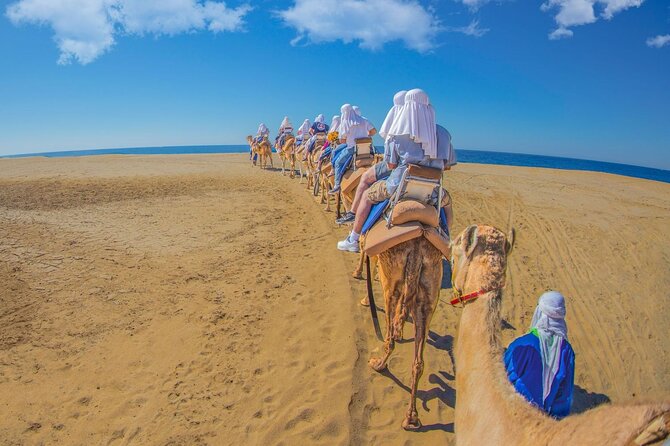Safari with Camel Caravan to Explore Baja’s Nature, Culture and Cuisine - Lunch at Tierra Sagrada Ranch: More Than Fuel