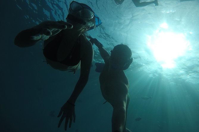 San Jose Artwalk - Who should book this San Jose Artwalk and Snorkel?