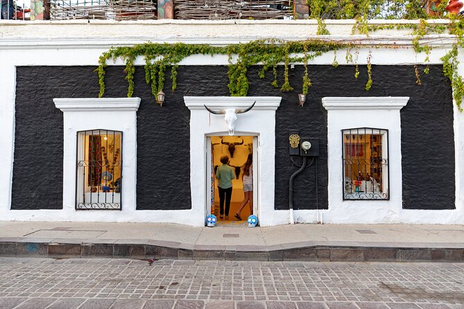 San Jose del Cabo Art Walk, Beer Tasting &Chocolate Demonstration - Who this tour suits best, and who should think twice