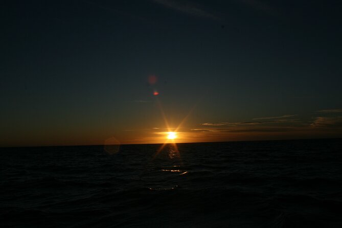 San Jose del Cabo Small-Group Sunrise Whale Watching - Price and value: why $99 can make sense here