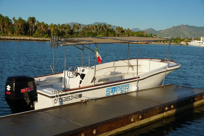 San Jose del Cabo Small-Group Sunrise Whale Watching - What to expect emotionally, not just visually
