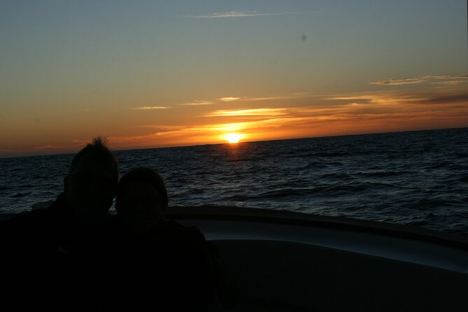 San Jose del Cabo Small-Group Sunrise Whale Watching - Who this is best for, and who might think twice
