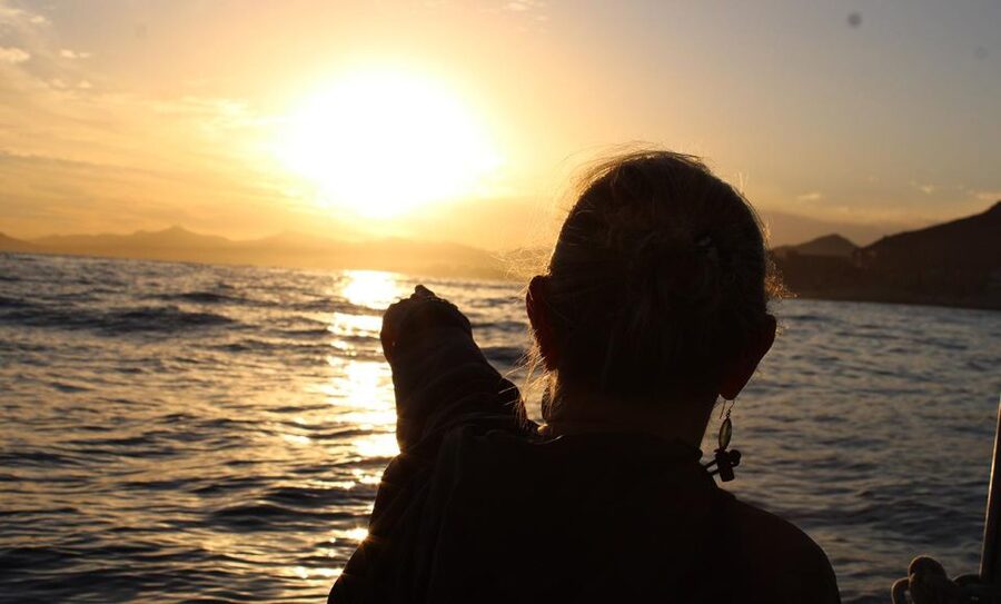 San Jose del Cabo Sunset Whale Watching - Key Things to Love About This Sunset Whale Watch