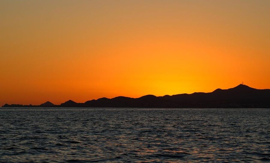 San Jose del Cabo Sunset Whale Watching - Who Should Book It, and Who Should Skip It