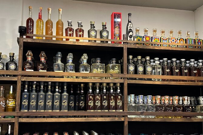 San Jose del Cabo Tequila, Mezcal and Mixology Class - Key Highlights