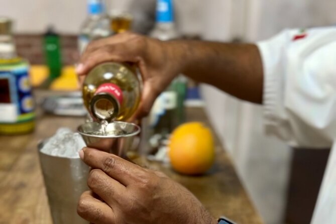 San Jose del Cabo Tequila, Mezcal and Mixology Class - Two Cocktails Included: What the Mixology Part Feels Like