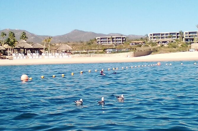 Santa Maria and Chileno Bay Snorkel Adventure Los Cabos - Key Points Before You Go