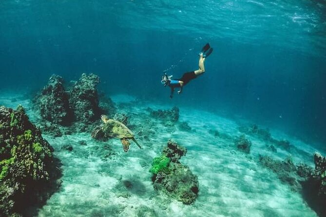 Santa Maria and Chileno Bay Snorkel Adventure Los Cabos - Santa Maria Cove: Calm, Warm Water and Clear Views for Slower Snorkeling