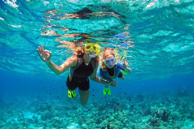 Santa Maria and Chileno Bay Snorkel Adventure Los Cabos - Getting There: Marina Meeting Point and No Hotel Pickup