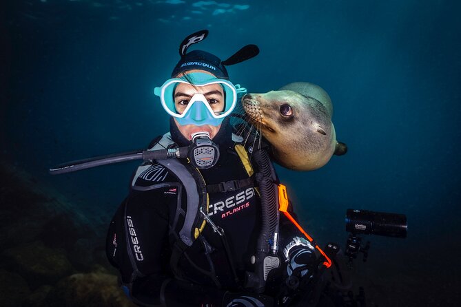 Scuba Dive in La Paz: Sea Lions, Turtles, Fish Schools and Wrecks - Should You Book This Sea Lion and Wreck Underwater Day in La Paz?