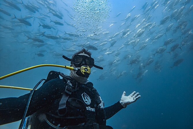 Scuba Diving - Key Points To Know Before You Go
