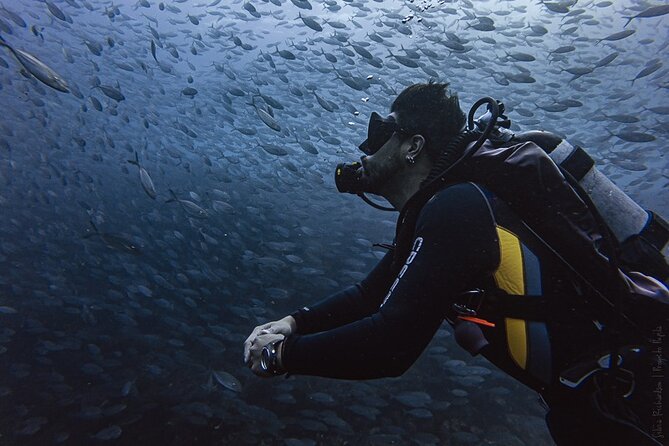 Scuba Diving - From Check-In to the Marine Park Briefing