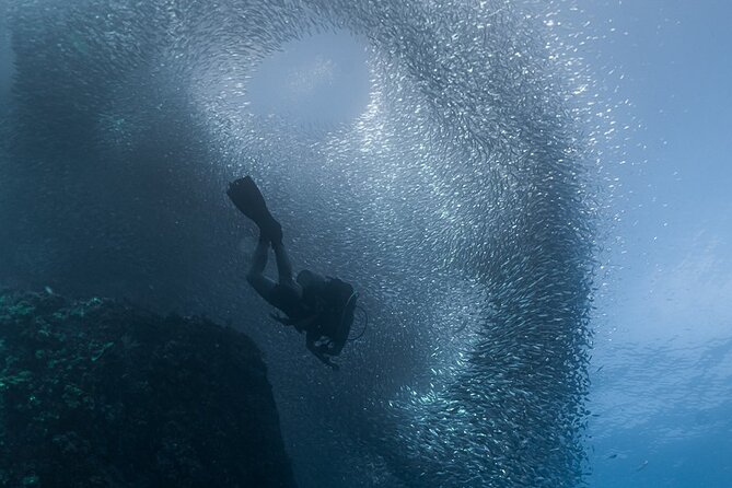 Scuba Diving - What Two Underwater Sessions Feel Like During a 4-Hour Plan