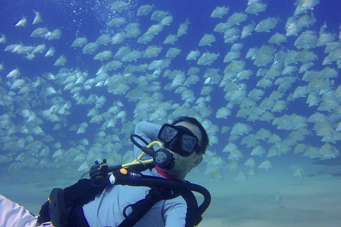 Scuba Diving - Gear, Photos, and the Costs People Forget to Budget