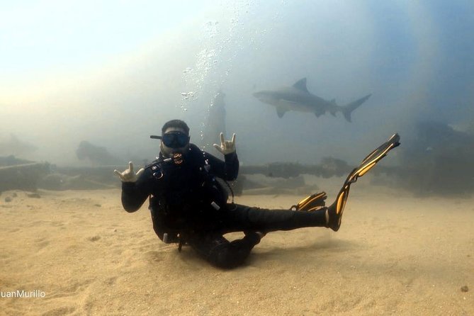 Scuba Diving adventure Cabo pulmo - Who should book this Cabo Pulmo scuba session