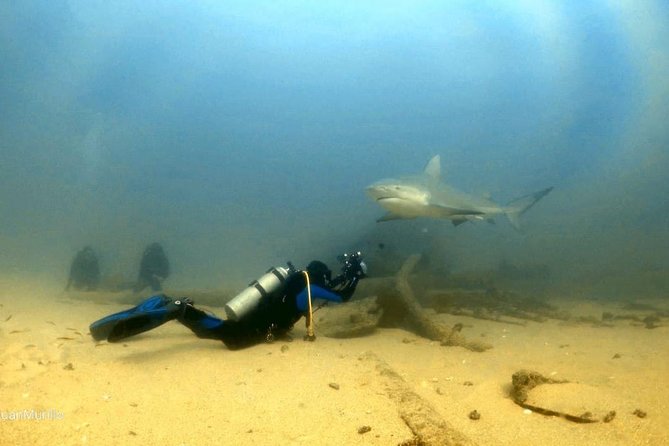 Scuba Diving adventure Cabo pulmo - FAQ