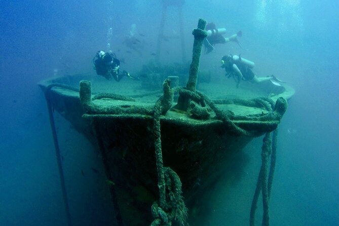 Scuba Diving Adventure in La Paz - Cost Breakdown for a Private Group of Up to 6 in La Paz