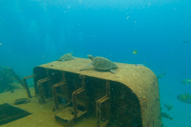 Scuba Diving Adventure in La Paz - Two Underwater Sites Chosen for Your Skill Level and the Day’s Weather
