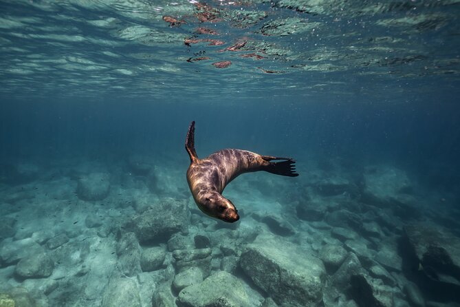 Scuba Diving in La Paz Private Trip - How the Early 7:00 AM Launch from La Paz Sets the Tone
