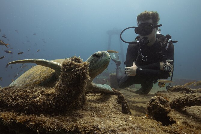 Scuba Diving in La Paz Private Trip - Gear, Crew Coaching, and First-Timer Comfort