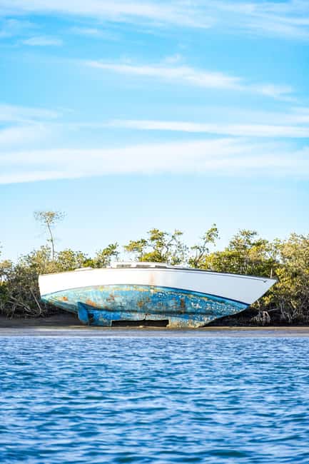 Sea Kayak Tour - Mangrove Safari - Mangrove Safari, La Paz Style: what you really get for $80