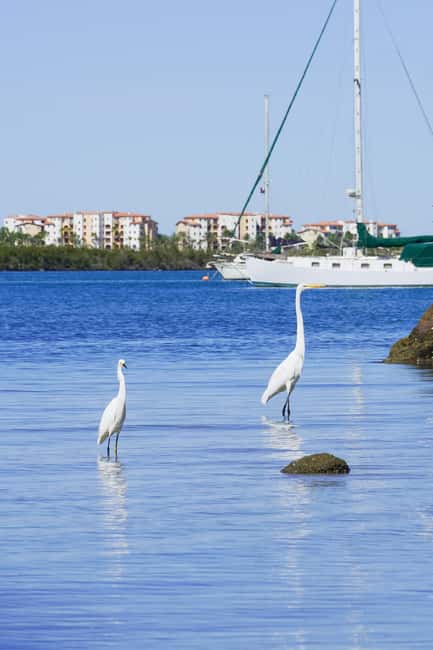 Sea Kayak Tour - Mangrove Safari - Paddling tips that make you look good and feel good