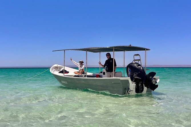 Sea Lion Snorkel at Espíritu Santo Island Private trip - The Snorkeling Time Itself: Equipment and How the Day Feels