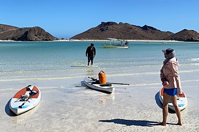 Sea Lions & Mega-Paddleboard Tour in Balandra - Price and value: what $118.84 really buys you