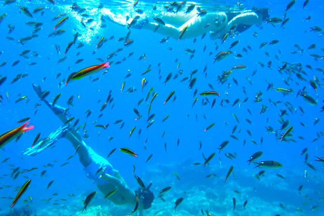 Sea of Cortez Combo: Whale Sharks, Sea Lions & Balandra Beach - The crew and guide approach: why this tour feels like it has guardrails
