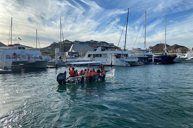 Shared Experience Glass Bottom Boat to the Arch in Cabo San Lucas - The whale search portion: fun cruising with no guarantees