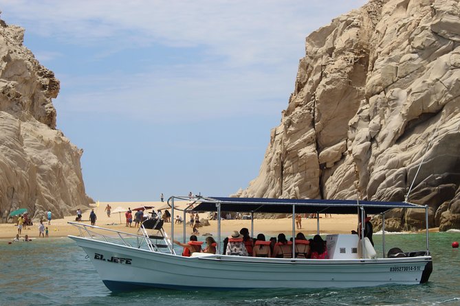 Shared ride to the arch of Cabo San Lucas - Wildlife and Photo Power: Sea Lions, Pelicans, and Captains Who Know Angles