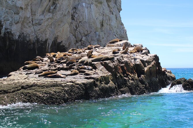 Shared Tour to the Arch of Cabo San Lucas - What to bring and how to time your day