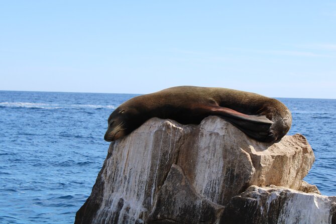 Shared Tour to the Arch of Cabo San Lucas - The one-hour route: what each part is doing for you