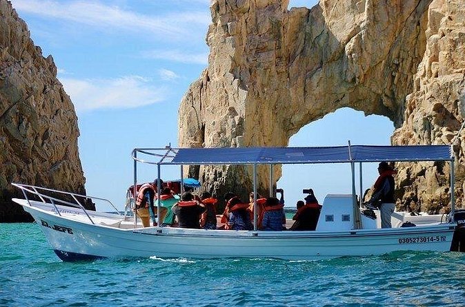 Shared walks to the arch of Cape San Lucas - Beaches and marine spotting: what you should realistically expect