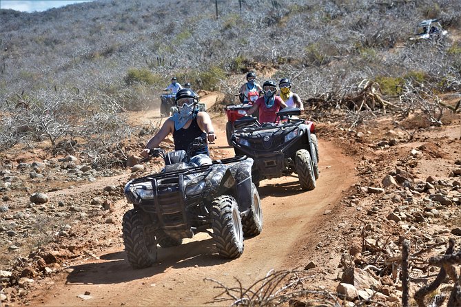 Single ATV Tour from Migriño Beach & Desert - Price and value: is $120 worth it?