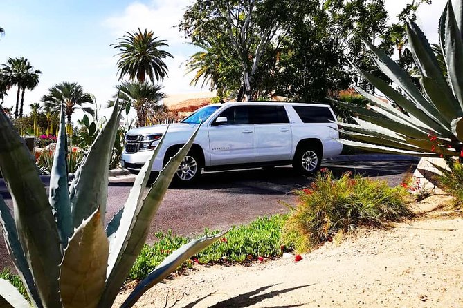 SJD Airport to San Jose del Cabo - one way service - SJD Airport to San Jose del Cabo, a Fast One-Way Ride That Starts Your Trip Right