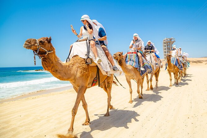 Sky Bike Free Camel Ride and Horseback Riding - Horseback riding by the sea, ending with the coast vibe