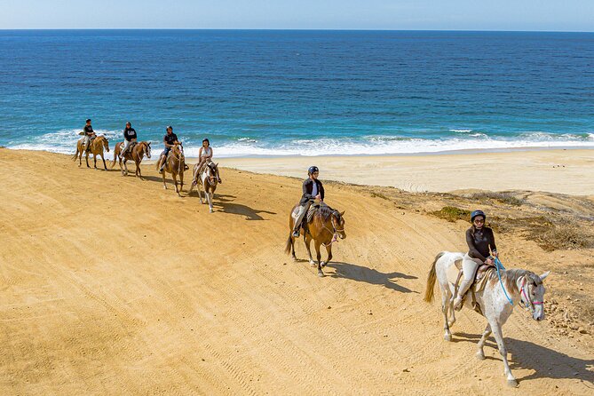Sky Bike Free Camel Ride and Horseback Riding - Price and value: what you really pay for at $175