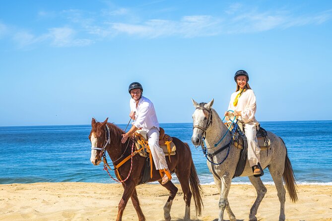 Sky Bike Free Camel Ride and Horseback Riding - Who this is best for, and who should pause