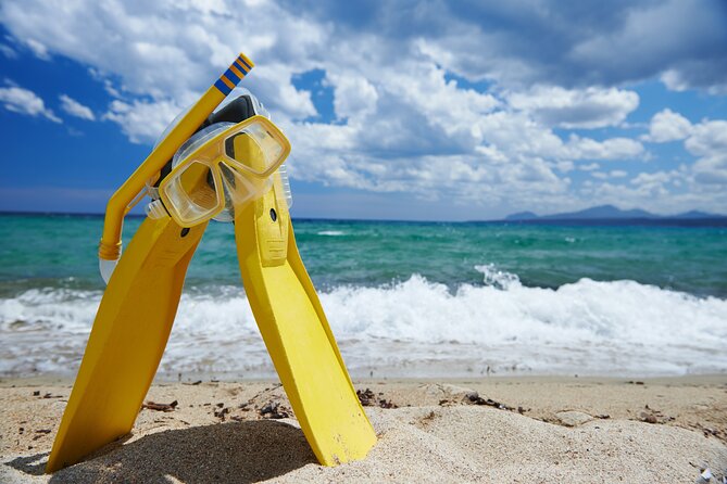 Small-Group Snorkel Adventure in San Jose del Cabo - Meet Salty Cabo, then head out at 9:00 AM