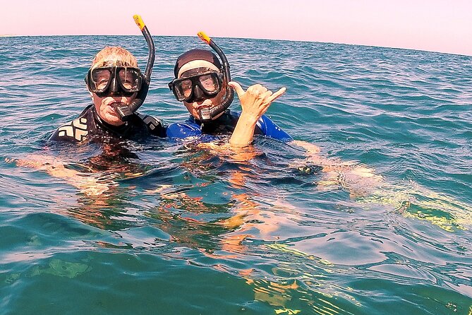 Small-Group Snorkel Adventure in San Jose del Cabo - Wildlife bonuses: dolphins, flying fish, and whale sightings