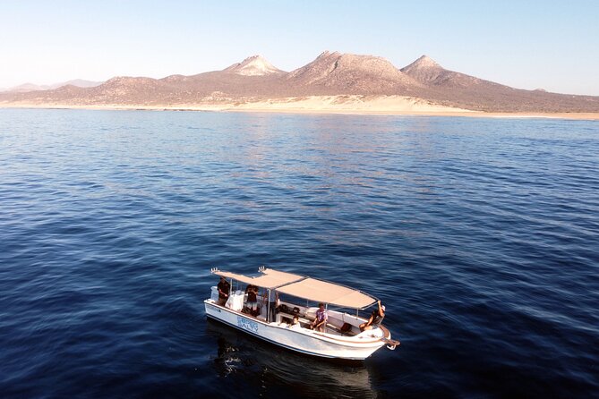 Small-Group Snorkel Adventure in San Jose del Cabo - Reef time in the Zacatitos to Corridor stretch
