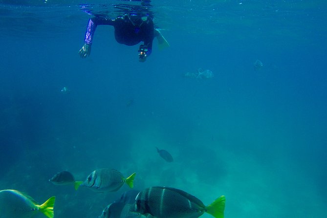 Snorkel Adventure and Hike to a Hidden Beach - Homemade lunch, ceviche, and guacamole without the time pressure