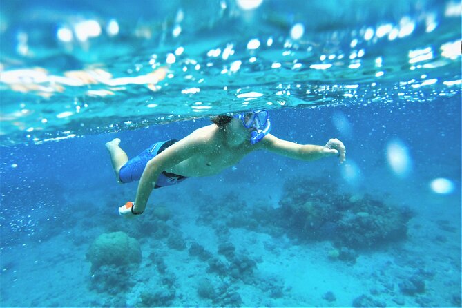 Snorkel Adventure through the Sea of Cortez - Stop 1: Sea of Cortez snorkeling, what to expect