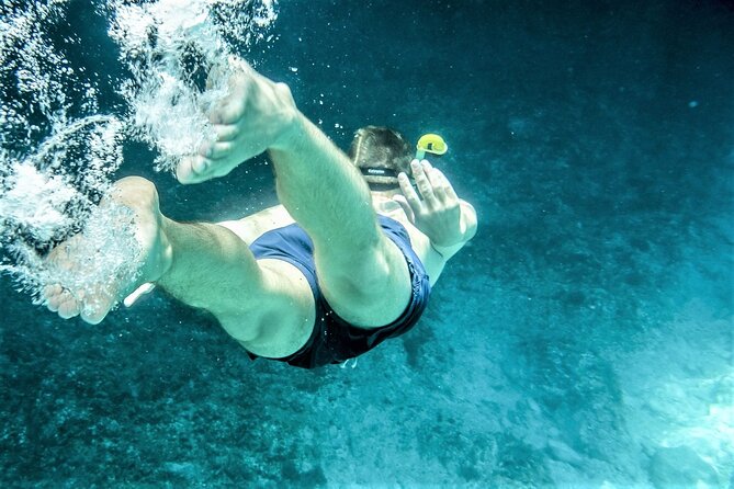 Snorkel Adventure through the Sea of Cortez - The catamaran ride through Cabo Bay: it’s more than transport