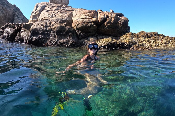 Snorkel and arch tour in los cabos - Getting Started: Cabo San Lucas Marina To El Arco