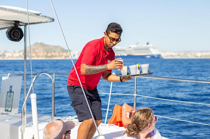 Snorkel Cruise in Los Cabos - Wildlife Spotting Near the Arch, Sea Lions, and Whales in Season